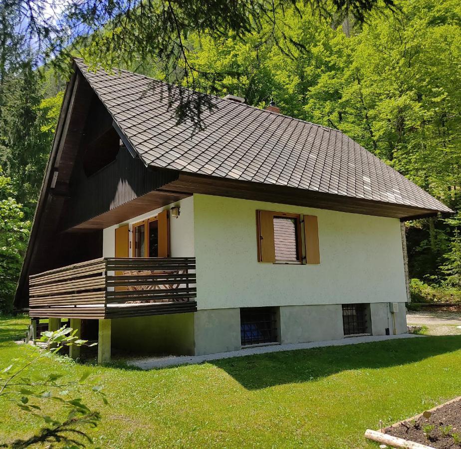 Chalet Via Mons Mojstrana Exterior foto